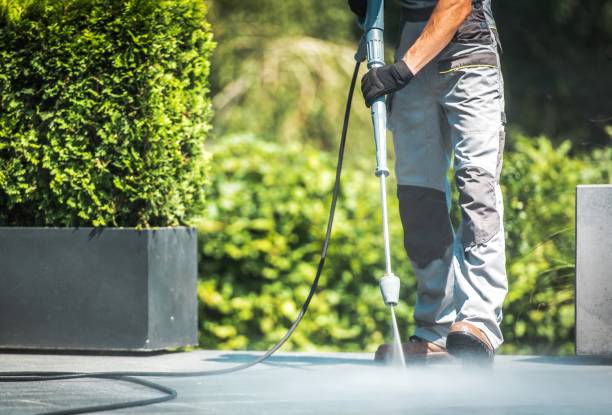 Animal Enclosure Cleaning in Bonanza, GA